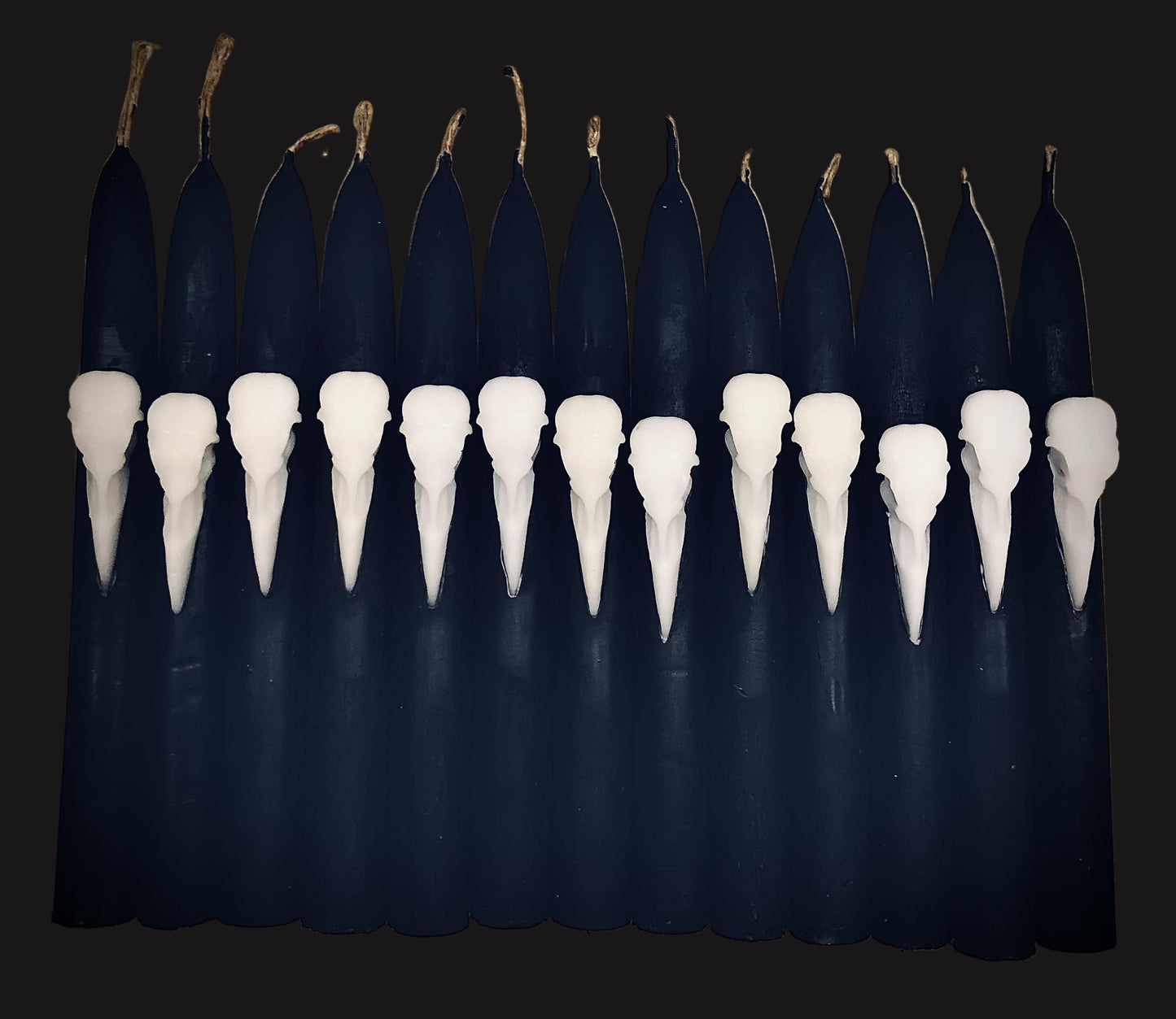 Crow Skull Taper