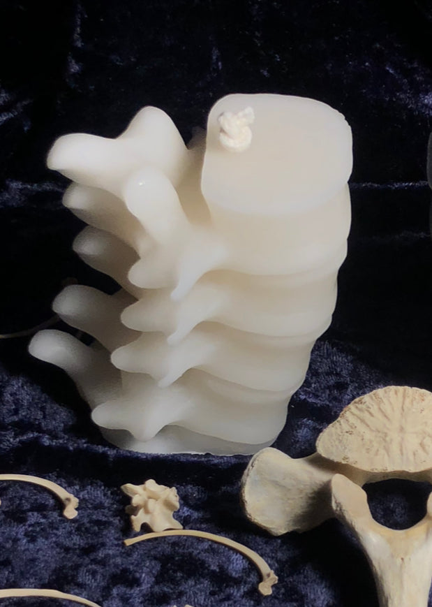Anatomical Beeswax Spine Candle