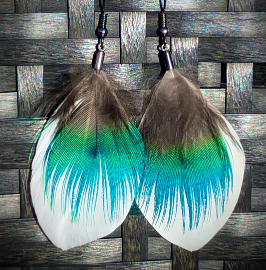 Snow Goose & Peacock Feather Earrings