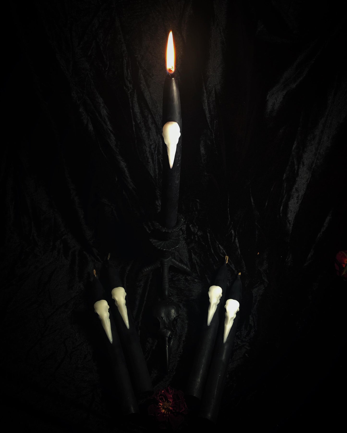 Crow Skull Taper