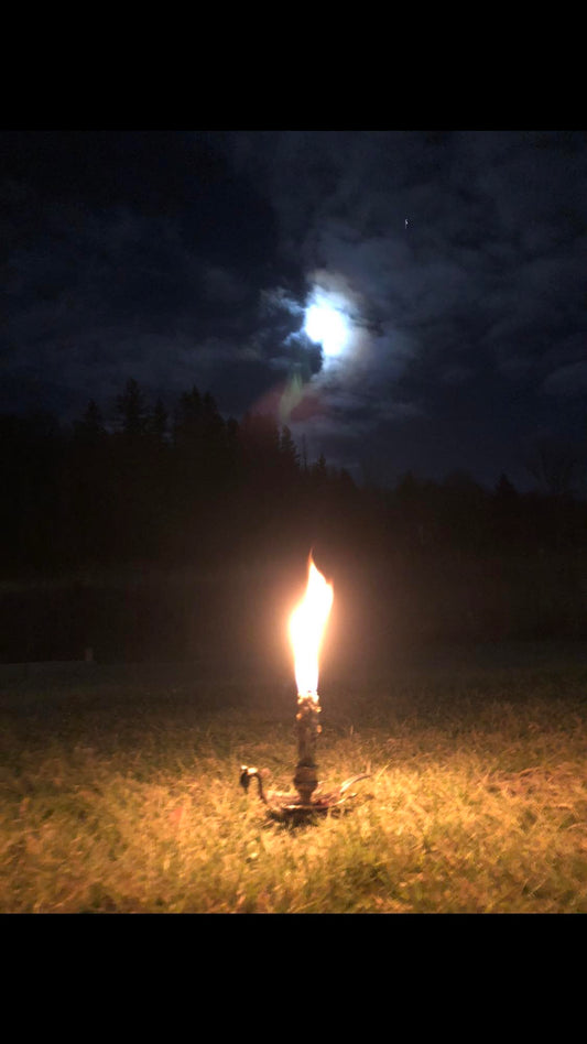 Witches Candle - Mullein Torch