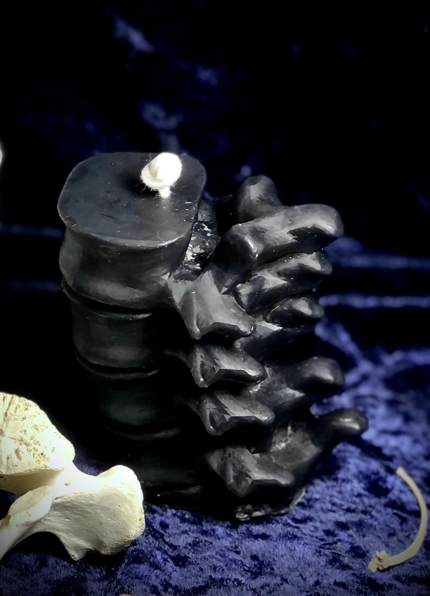 Anatomical Beeswax Spine Candle