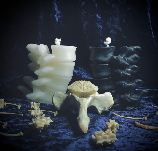 Anatomical Beeswax Spine Candle