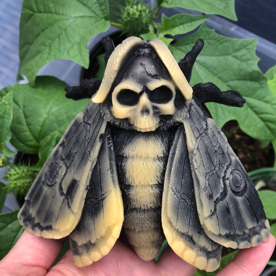 Death's Head HawkMoth Beeswax Candle - Altar Decor
