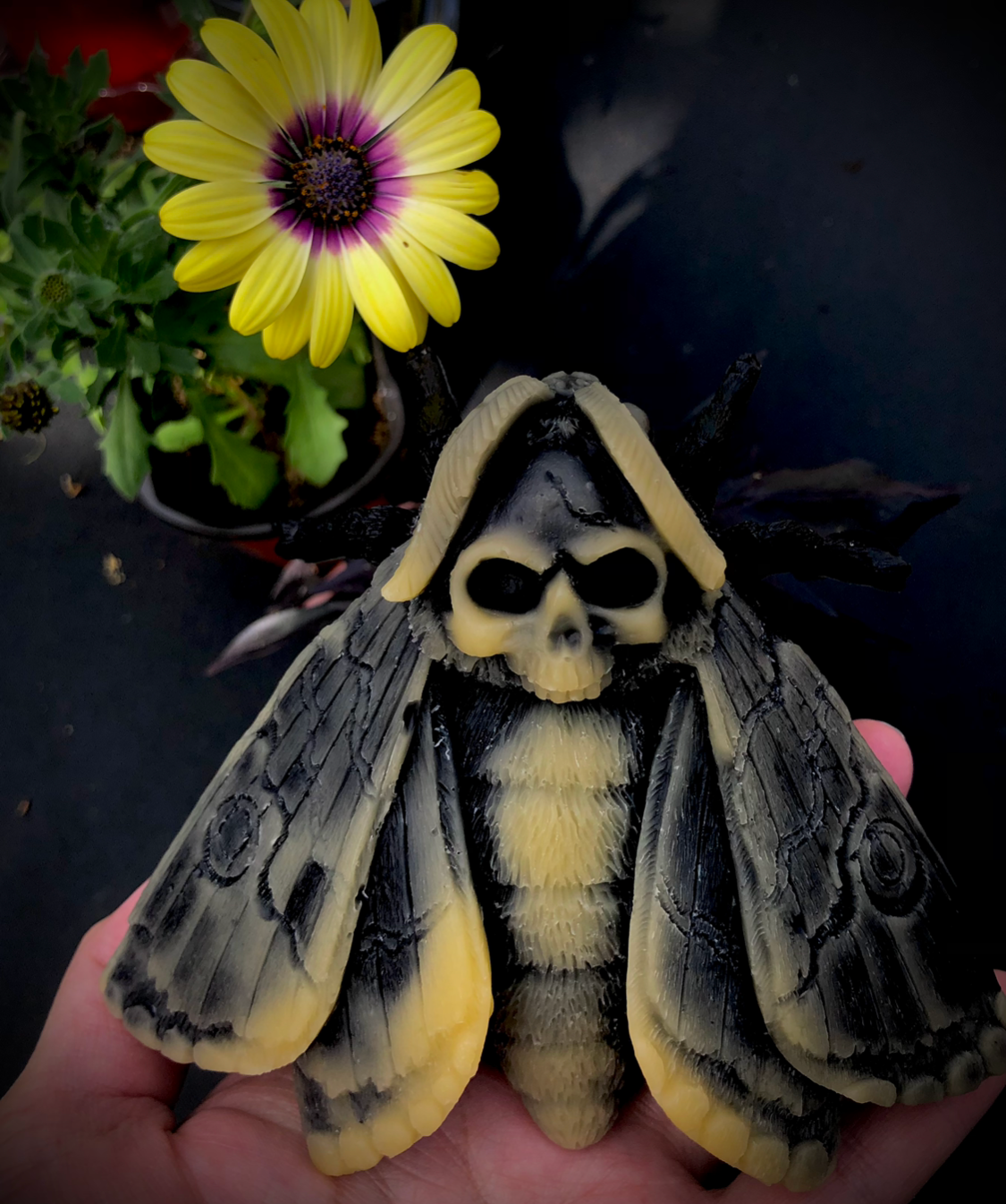 Death's Head HawkMoth Beeswax Candle - Altar Decor