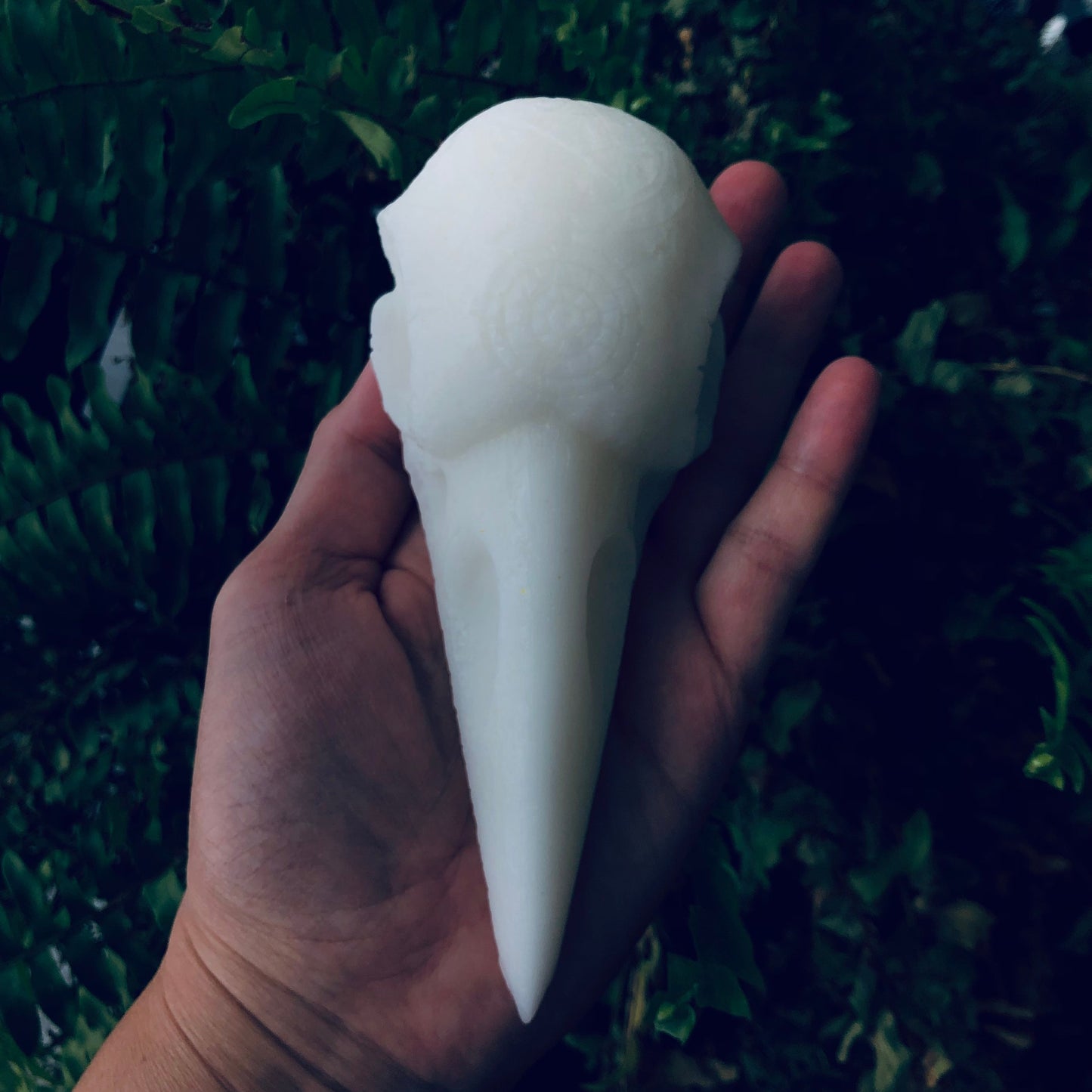 The Raven - Ritual Beeswax Skull Candle
