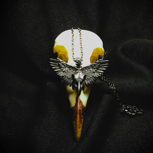 SOAR - Winged Raven/Crow Skull Necklace