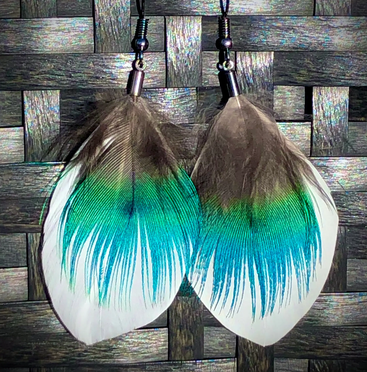 Snow Goose & Peacock Feather Earrings