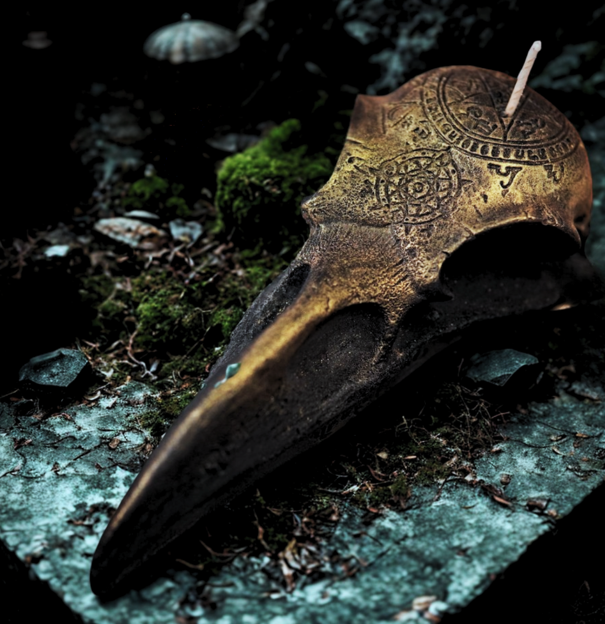 The Raven - Ritual Beeswax Skull Candle