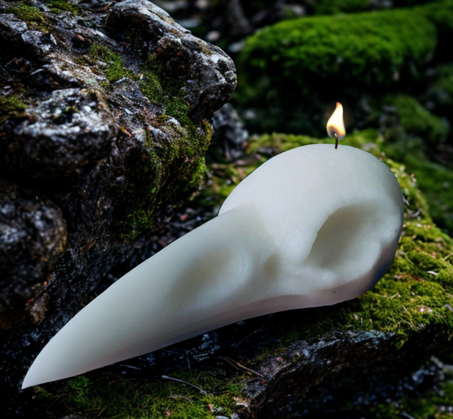 The Raven - Ritual Beeswax Skull Candle