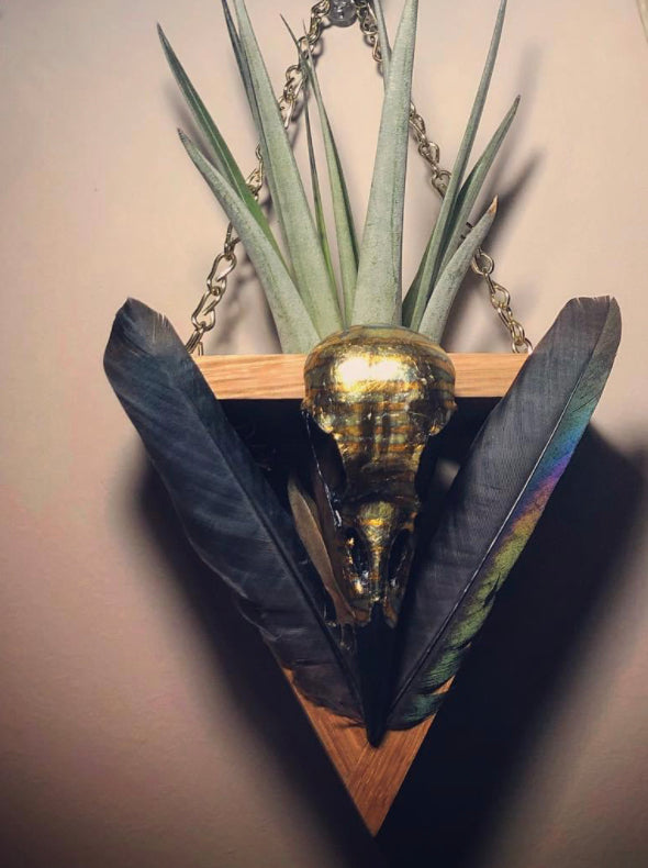 Corvid & Wood Triangle Air plant hangers