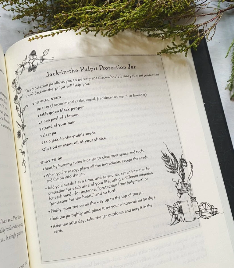 The Witch's Feast: A Kitchen Grimoire